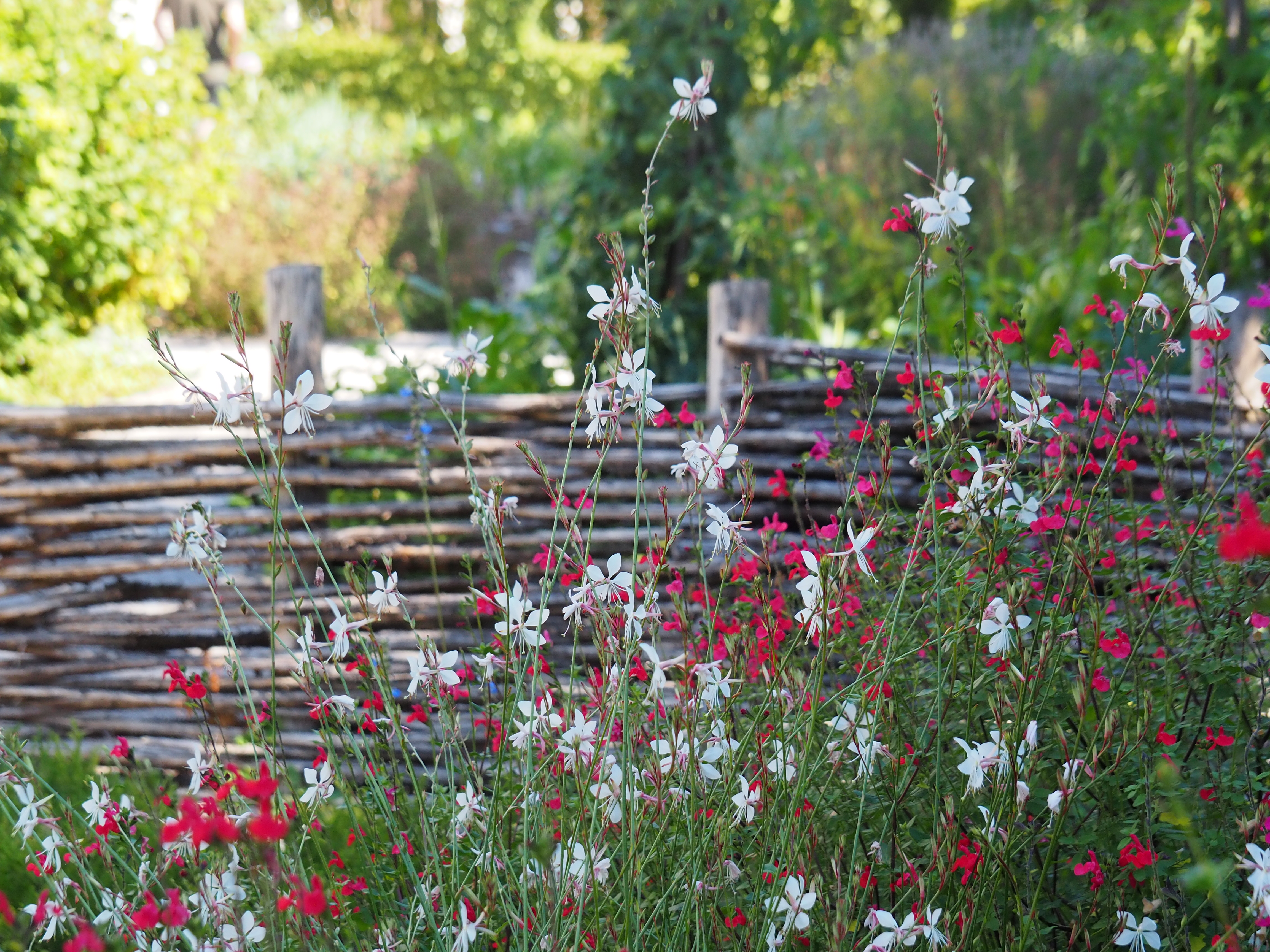 Le jardin du Prieur