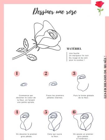 Tuto dessiner une rose